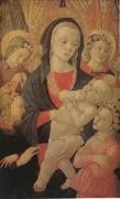 Master of The Castello Nativity The Virgin and Child Surrounded by Four Angels (mk05) china oil painting reproduction